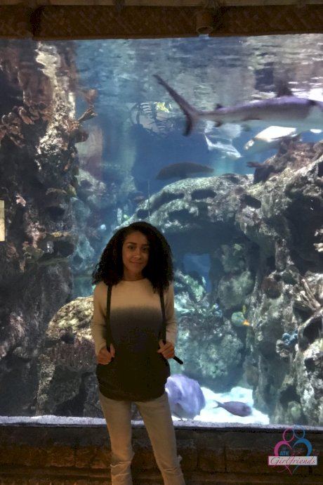 Curly haired ebony girlfriend Ariana Aimes strips & exposes her black curves
