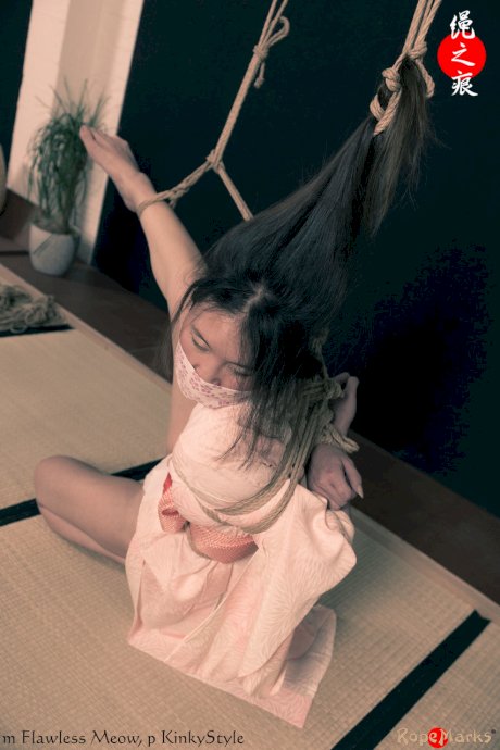 Asian chick Flawless Meow is tied with rope by her limbs and hair