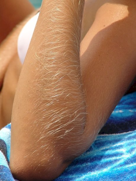 Hairy Arms Lori Anderson