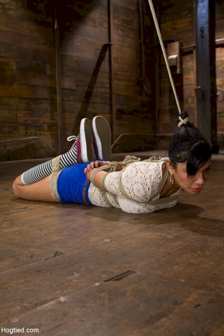 BDSM porn pics