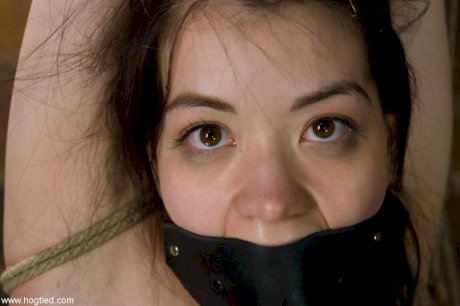 Naked female is masturbated while suspended by rope in a dungeon - Photo 16