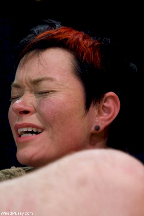 Restrained females are penetrated while wearing ball gag collars - Photo 17