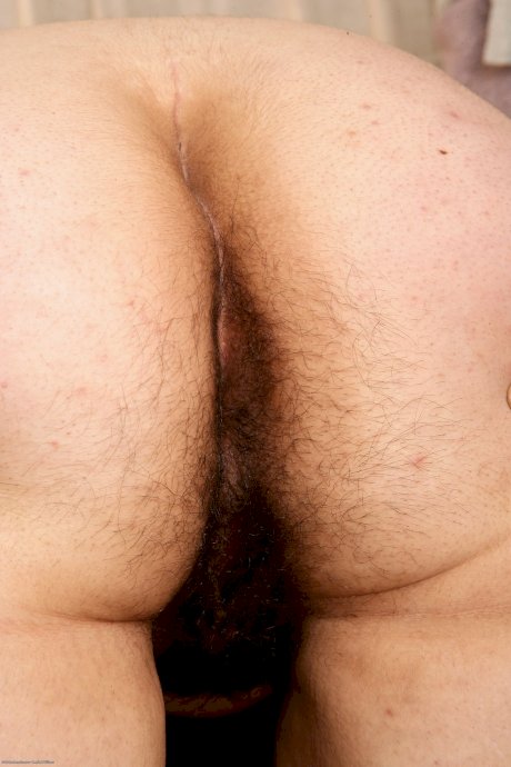 Short haired babe Ashley Brewington unveils her hairy pussy and huge ass - Photo 15