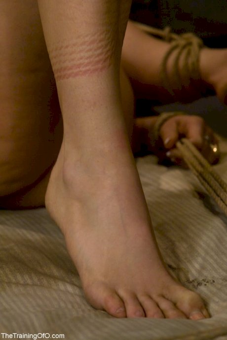 Asian chick Satine Phoenix is finger fucked while restrained with rope - Photo 11