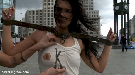 Dark-haired girl is humiliated and fucked while in public - Photo 5