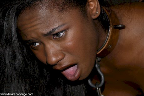 Ebony with a big ass Hailey Young gets abused after getting her neck chained