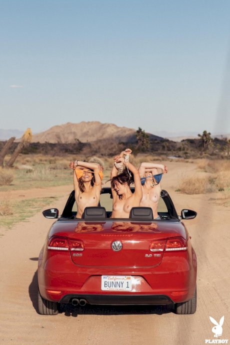 Three wild college babes stripping and posing naked on road to Palm Springs porn pics