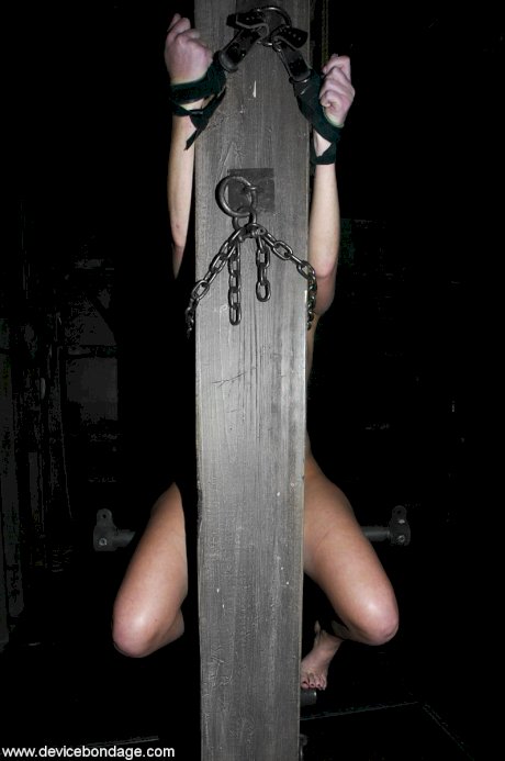 Brunette girl with small tits Ariel X gets her nips clamped in metal bondage