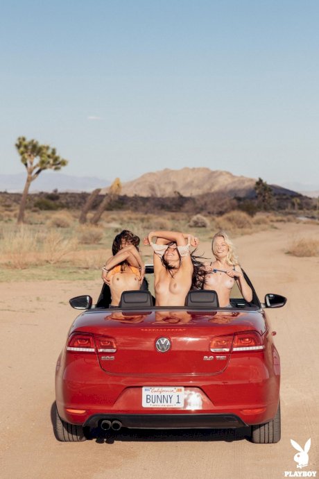 Three wild college babes stripping and posing naked on road to Palm Springs - Photo 3