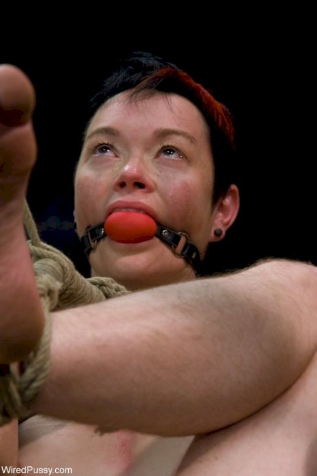 Restrained females are penetrated while wearing ball gag collars - Photo 5