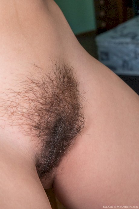 Beautiful Latina Eva One undresses and shows her inked hairy body