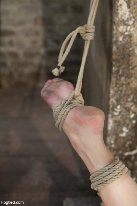 Hot Katie Kox gets a big toy on her clit while her tits are tied up with rope