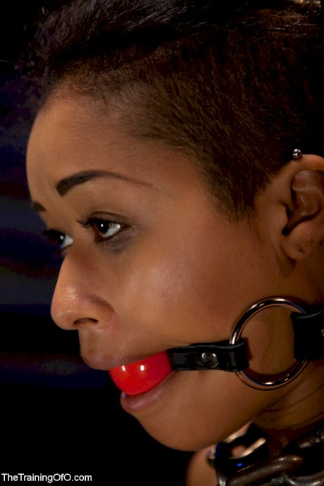 The Training Of O Skin Diamond