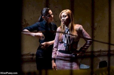 Natural blonde finds herself being escorted and cuffed by a black policewoman - Photo 13