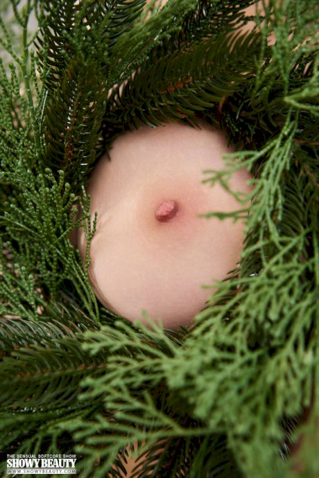 Gorgeous teen Toree gets completely naked after decorating a Christmas tree